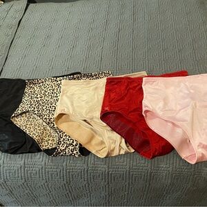 Ruby Ribbon | Shaping Briefs 5 pair 2x.